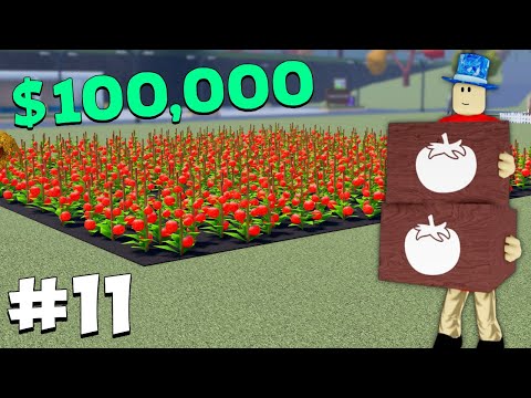 Видео: Помидор — ОТЛИЧНЫЙ выбор для начинающих игроков! Фермерство и друзья (Roblox) [11]