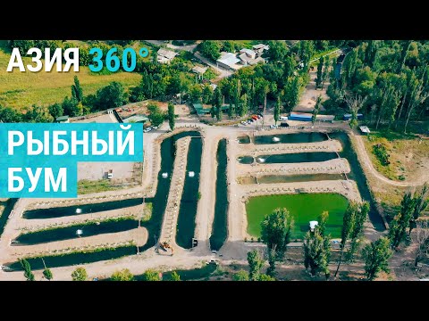 Видео: Рыбоводство без рек и озер | АЗИЯ 360°