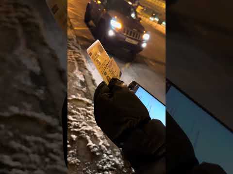 Видео: Шмонают по беспределу🐁🐓