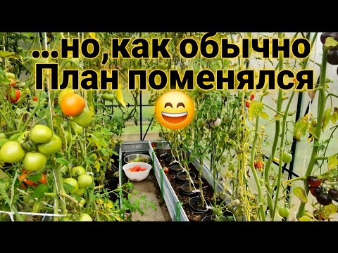 Видео: Прощаемся с ней  до весны 🌿 — пусть отдыхает после богатого сезона!