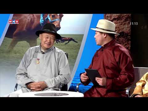 Видео: Дэлхийг тамгалсан Монгол адуу