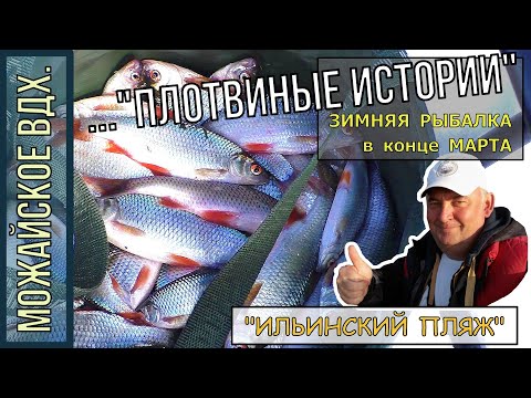 Видео: Рыбалка СО ЛЬДА на Можайском вдх./"ПЛОТВИНЫЕ ИСТОРИИ"/МАРТ всё СУПЕР!!!