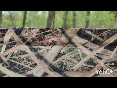 Видео: обзор на пончо от DUCK MANIA