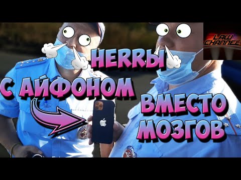 Видео: ДВА БЫКА ПОЛУЧИЛИ ПО РОГАМ HERRы с айфоном вместо мозгов (От студента!)