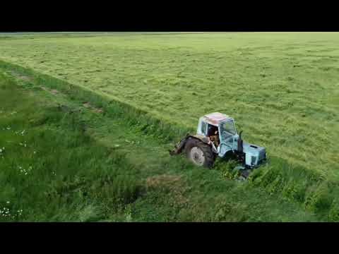 Видео: Синий Трактор МТЗ-80 сенокос 2022