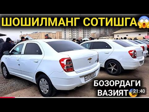Видео: 10-НОЯБР ДАХШАТ КОБОЛТЛАР ТАХЛАНДИ ЯРИМ ПУЛИГА ОЛИНГ КОБОЛТ НАРХЛАРИ 2025 АНДИЖОН МАШИНА БОЗОРИ 2025