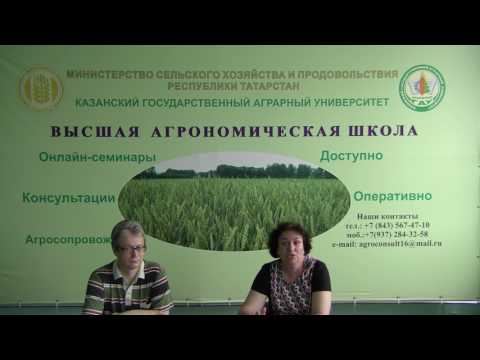 Видео: Подготовка к посеву озимых зерновых культур.