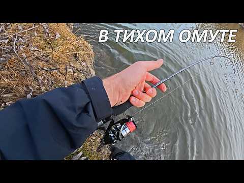 Видео: Непомерная рыба ЗАГИБАЕТ ультралайт. Микроджиг удивляет! Осенняя проводка. Рыбалка на спиннинг