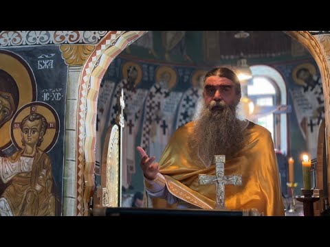 Видео: 2025 11 09 Недеља 22.  - о. Рафаило