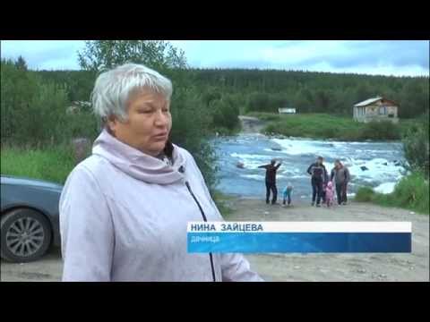 Видео: Дачники Кандалакши бьют тевогу