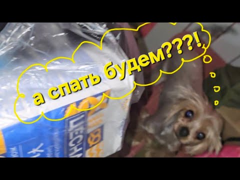 Видео: Ночь/пеку хлеб/Люся в шоке.