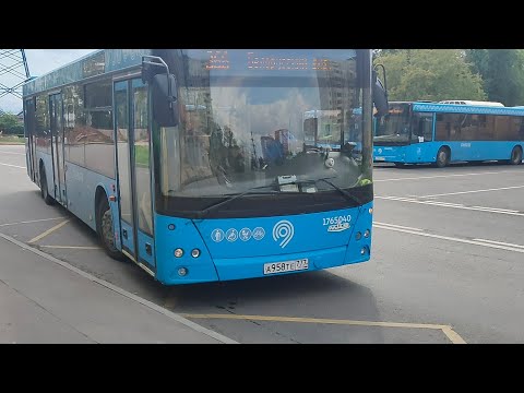 Видео: 🟣Автобус №366. Улица Герасима Курина — Белорусский вокзал [МАЗ-203.069]