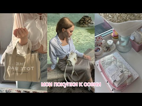 Видео: back to uni || мои покупки к осени || одежда, карцелярия🦢