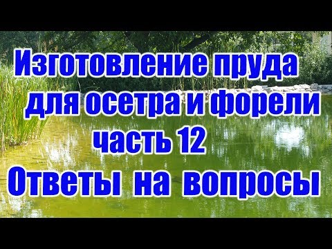 Видео: Изготовление пруда для осетра и форели (часть12) Ответы на вопросы