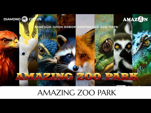 Видео: 🐒 Амьтдын ертөнцөөр аялсан нь | Amazing Zoo Park Vlog