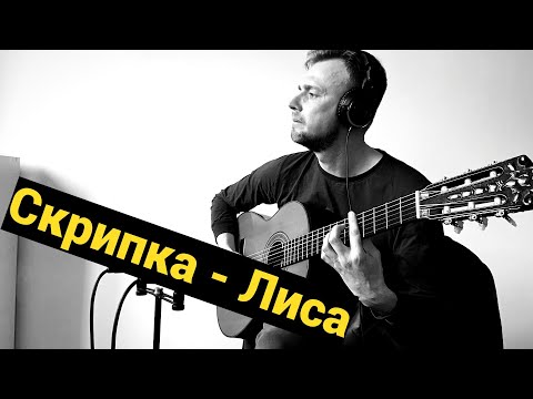 Видео: Скрипка - Лиса ( аранжировка для гитары А.Носов )