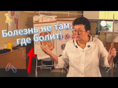 Видео: Болит живот, а причина совсем в другом месте!