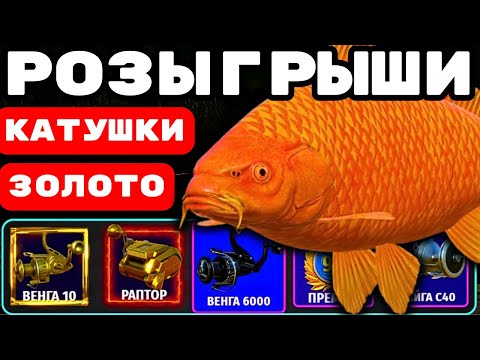 Видео: МЕДНОЕ РАЗДАЁТ ?💥НЕПРОПУСТИ РОЗЫГРЫШИ💥КАТУШКИ ЗОЛОТО ПРЕМЫ 🔴 РУЛЕТКИ КАЖДЫЕ 20 Минут 🎁 #СТРИМ #РР4