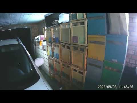 Видео: Беда посетила пасеку. Почему продают 2+2, 3+1, 4+1.