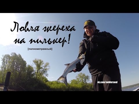 Видео: Жерех на спиннинг. Ловля жереха на пилькер. Техника рывковой проводки.