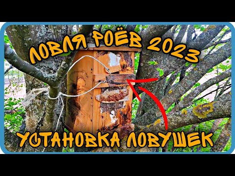 Видео: МОИ МЕСТА ДЛЯ УСТАНОВКИ ЛОВУШЕК. ЛОВЛЯ РОЁВ 2023. ГОД БУДЕТ ЖАРКИМ.