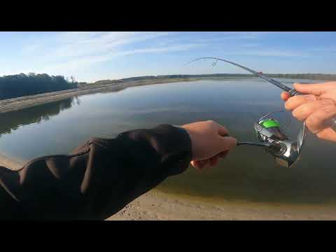 Видео: Ранковий вихід щукі