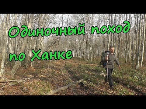 Видео: ОДИНОЧНЫЙ ПОХОД в лес с ночевкой у реки Ханка. Ночевка в палатке, неизвестные грибы на маршруте