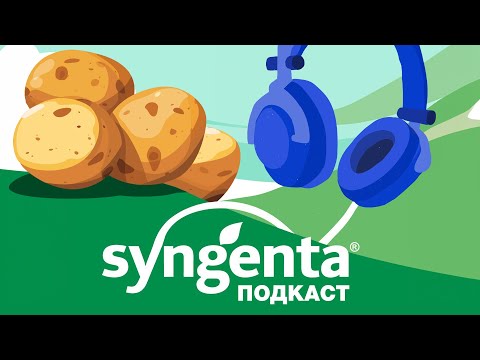 Видео: 🥔 Альтернариоз картофеля: риски и решения