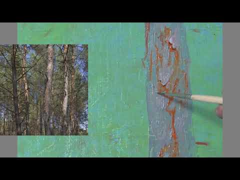 Видео: Клапоух Юрий. Кора деревьев. Часть3.
