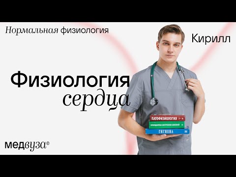Видео: Физиология сердца | Нормальная физиология
