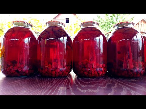 Видео: 🍇Вітамінний Компот із Ожини.🍇Літо в банці.🍇Закарпатський діалект.🍇