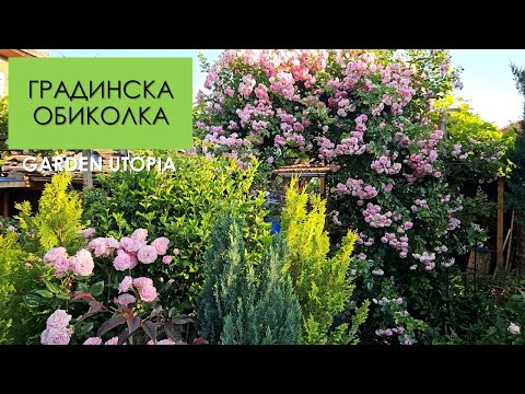 Видео: ЛЯТОТО ДОЙДЕ | Обиколка на градината на 08.06.2025 г.