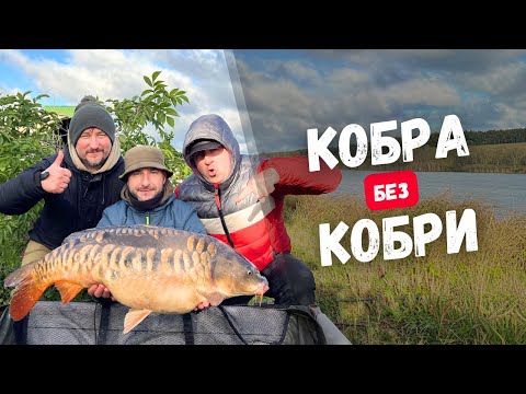 Видео: Забули кобру і виграли турнір! Осіння риболовля на коропа