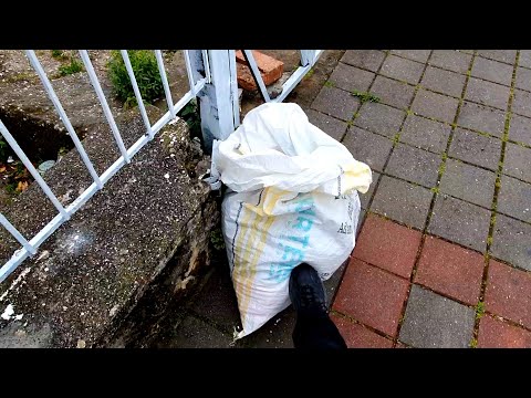 Видео: Около гробниц нашла вонючий мешок и принесла его домой. Смотрите, что получилось