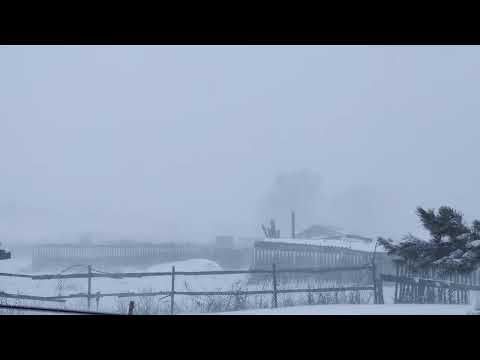 Видео: Сильная метель, Челябинская область, Троицкий район, 26.12.2023