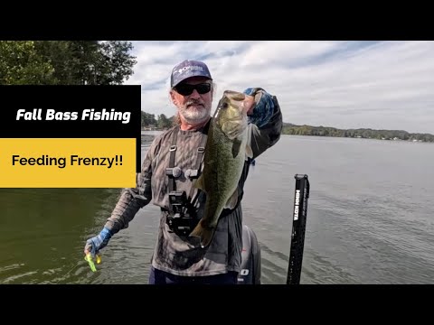 Видео: Осенняя рыбалка на окуня: время для экстремального кормления!