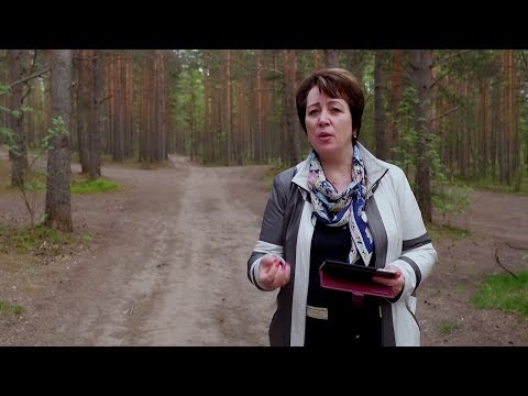 Видео: 275. В.О - Изучая вопрос десятины.