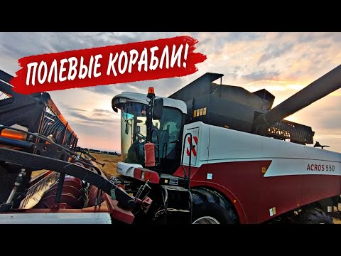Видео: УБОРКА 2023! Комбайны на ячмене!