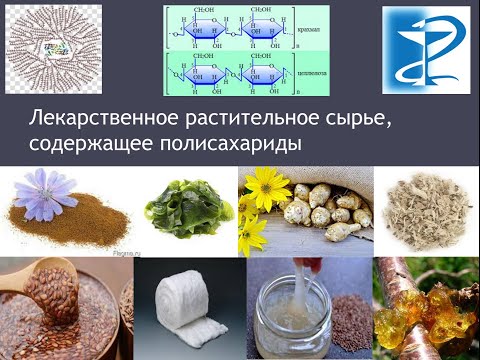 Видео: Лекарственное растительное сырье, содержащее полисахариды