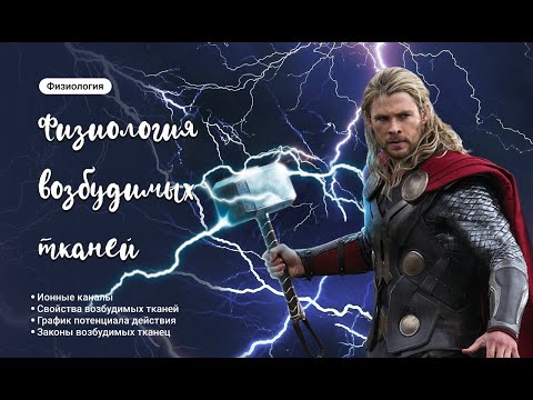 Видео: Физиология возбудимых тканей