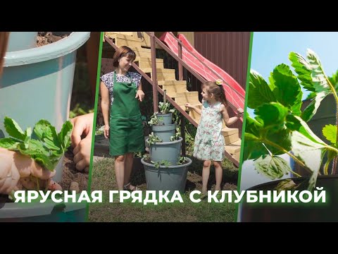 Видео: Как соорудить ярусные клубничные грядки