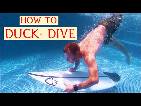 Видео: Каждый может нырять под утиным крылом, следуя этим инструкциям | Я не умею нырять под утиным крыл...