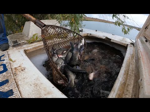Видео: ШОК!!! ПЕРЕВЕРНУЛИ МАШИНУ С РЫБОЙ!!!