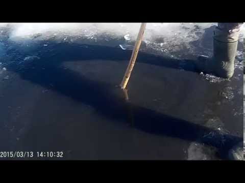 Видео: Как мы намываем мотыля