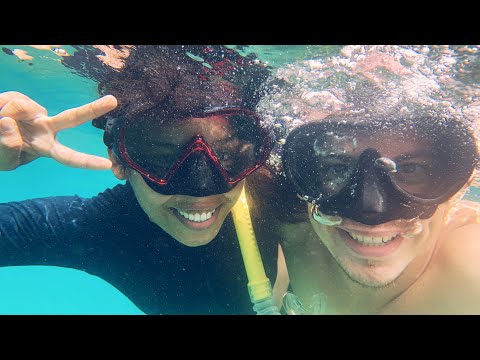 Видео: Наш первый ВЛОГ! Филиппины, остров Апо, плавание с черепахами.