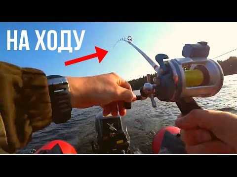 Видео: Рыбалка на глубоком озере, ХИЩНИК ПОСТОЯННО АТАКУЕТ!