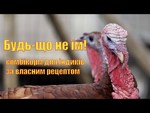 Видео: Рецепт корму  для індиків Біг6 від 5 до 13 тижнів власниими руками.