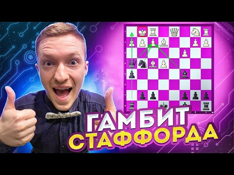 Видео: Гамбит Стаффорда. Ставим БЫСТРЫЙ МАТ черными!