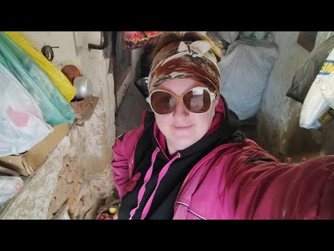 Видео: Показую срачі як є, розгрібаю/Перебрали всю цибулю/Купили яблук на зиму
