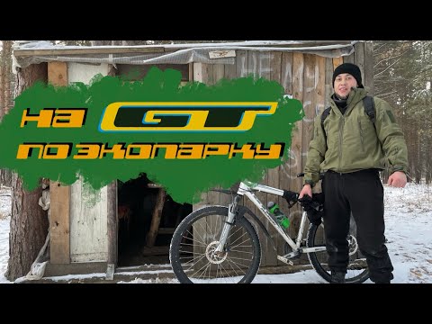 Видео: С Денисом по зимнему парку на МТБ!
